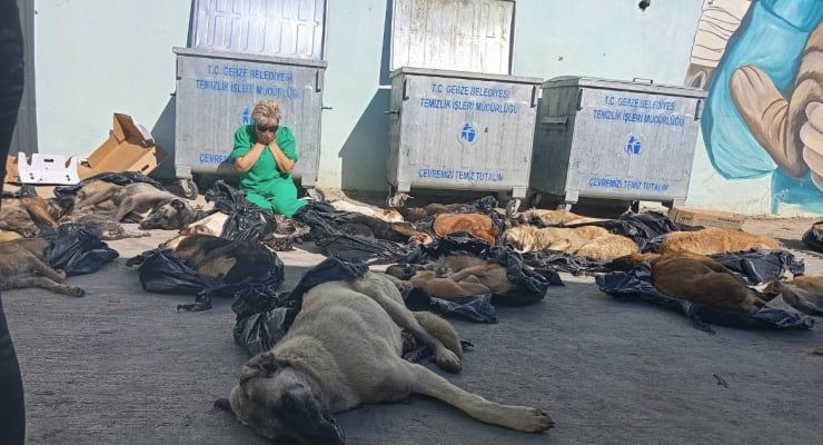 ADALET BAKANI: GEBZE’YE SORUŞTURMA BAŞLATILDI